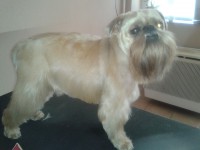 /album/fenykepgaleria/a2014-03-26-14-38-25-jpg1/